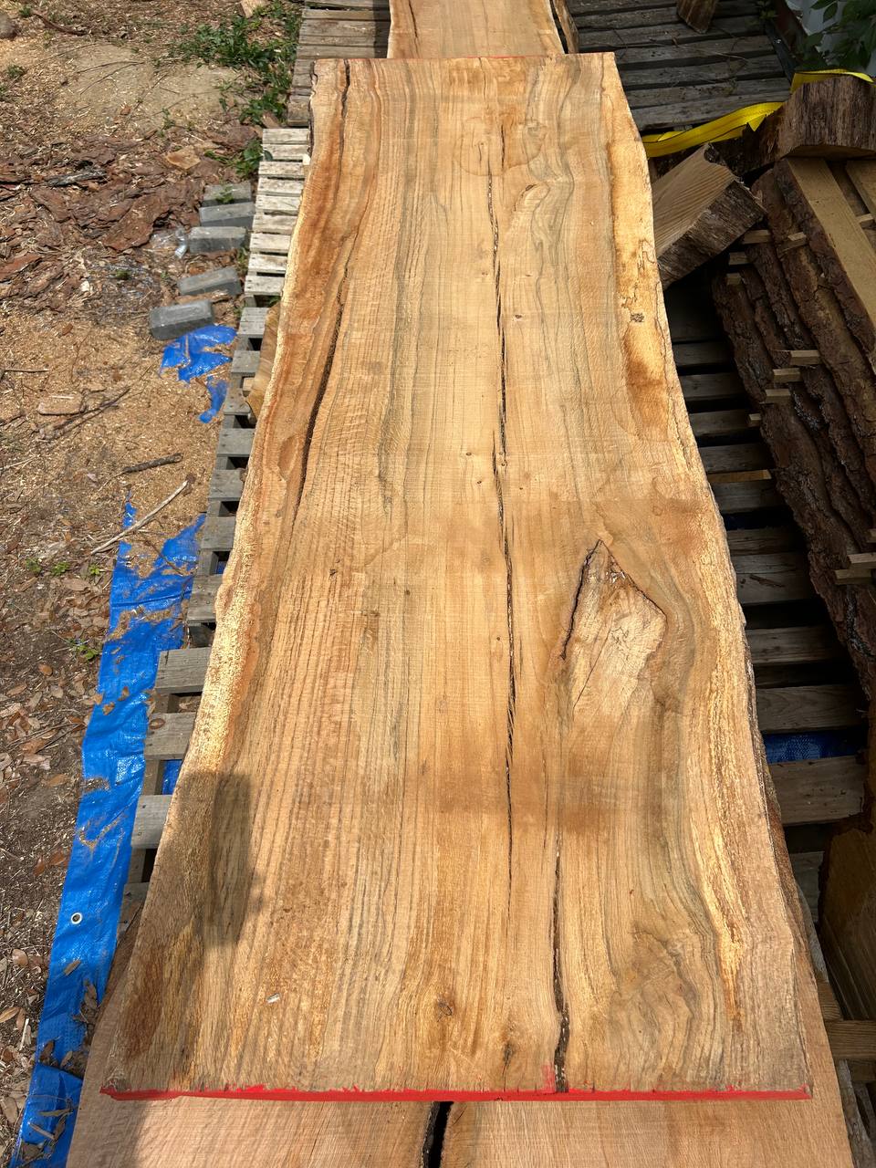 Water Oak Wood Slab WS002 - Image 5