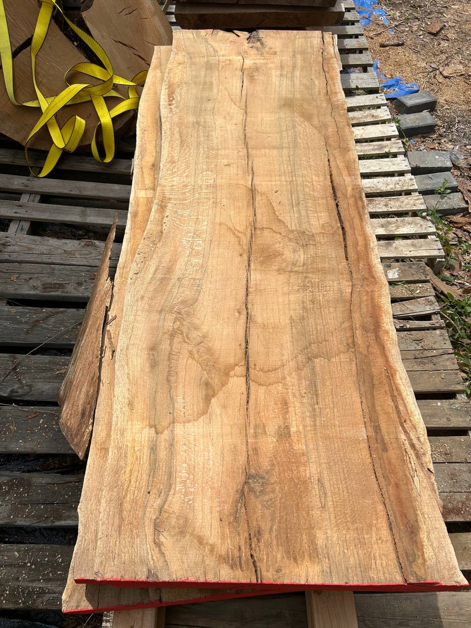 Water Oak Wood Slab WS002 - Image 4