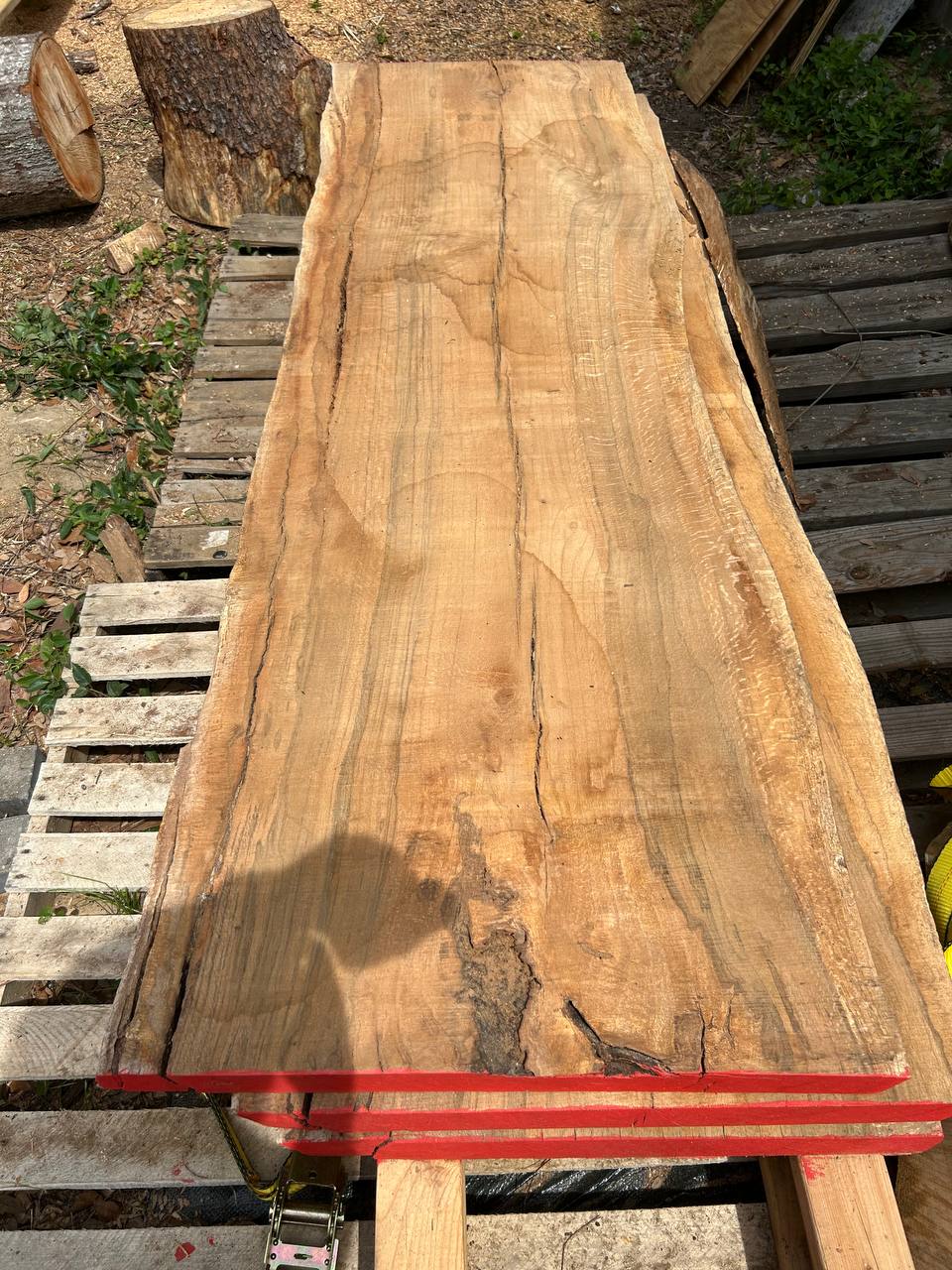 Water Oak Wood Slab WS002 - Image 6