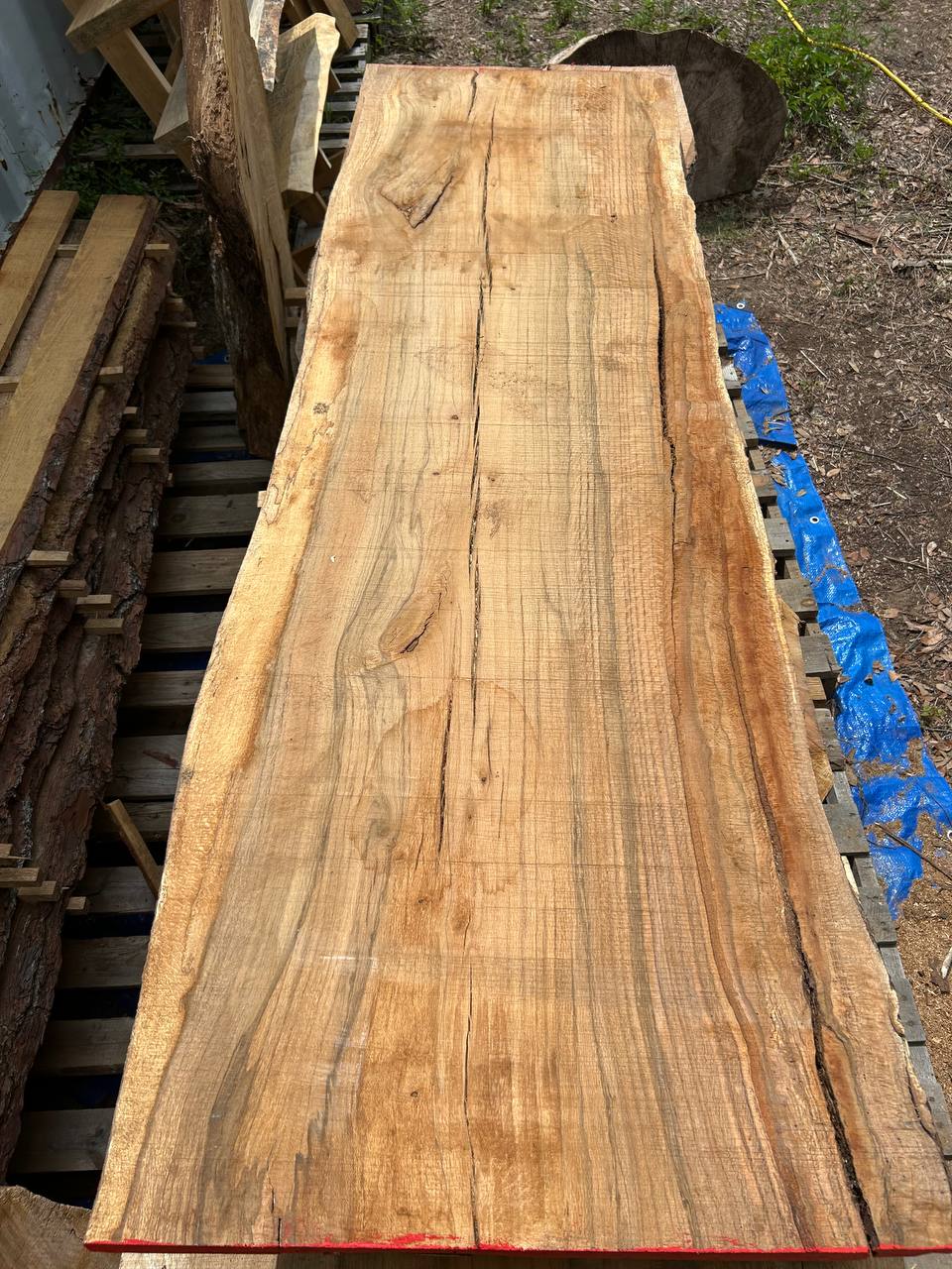 Water Oak Wood Slab WS002 - Image 7