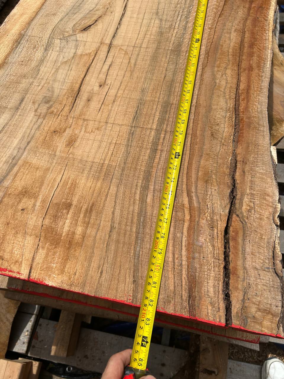 Water Oak Wood Slab WS003 - Image 11