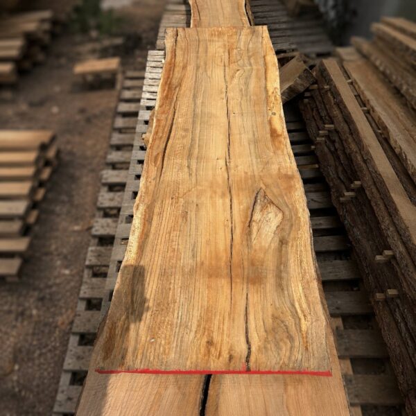 Air-dried water oak live edge slab with thick rustic grain texture and natural live edges — solid hardwood slab for custom furniture and woodworking projects