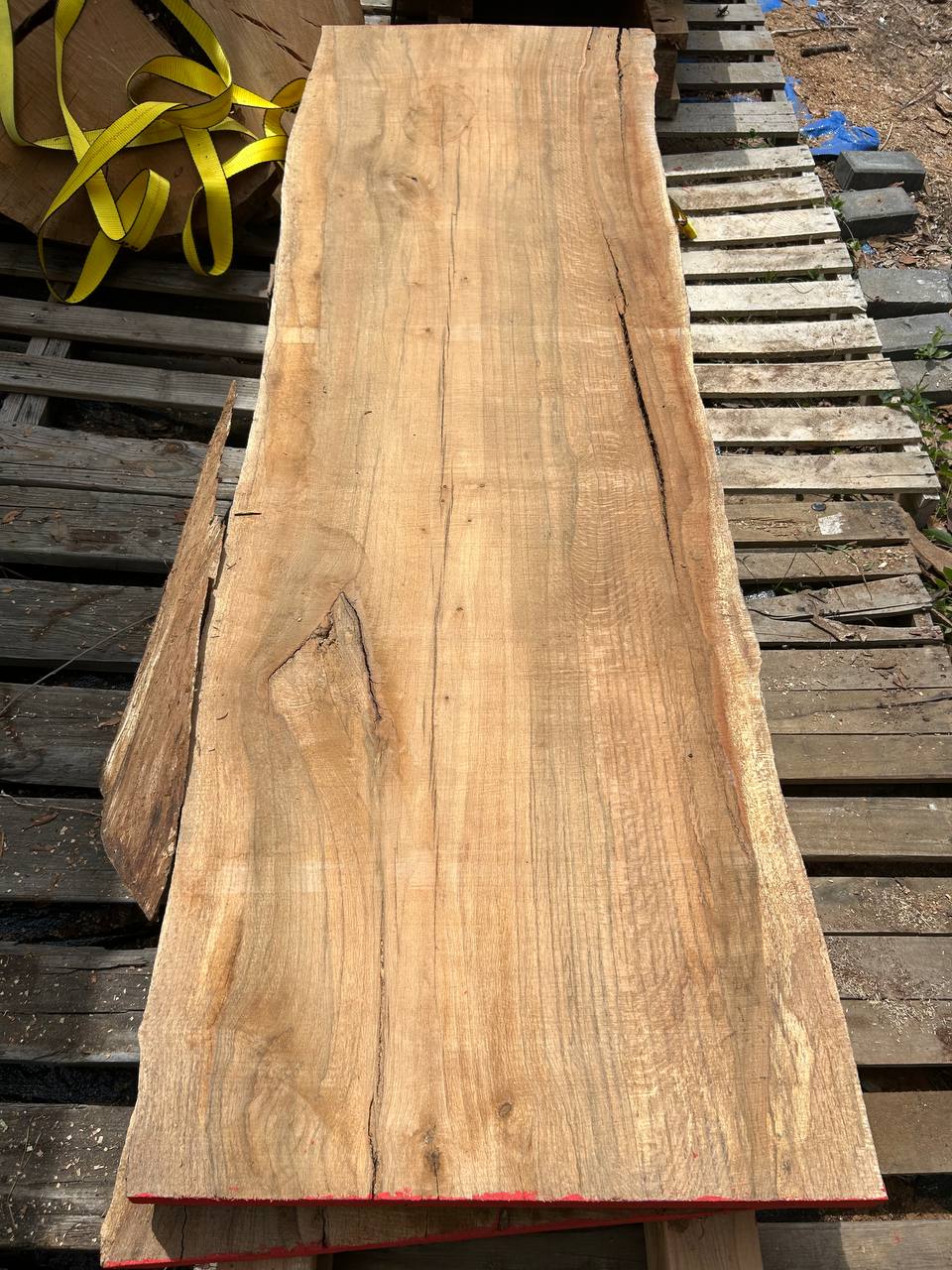 Water Oak Wood Slab WS003 - Image 4