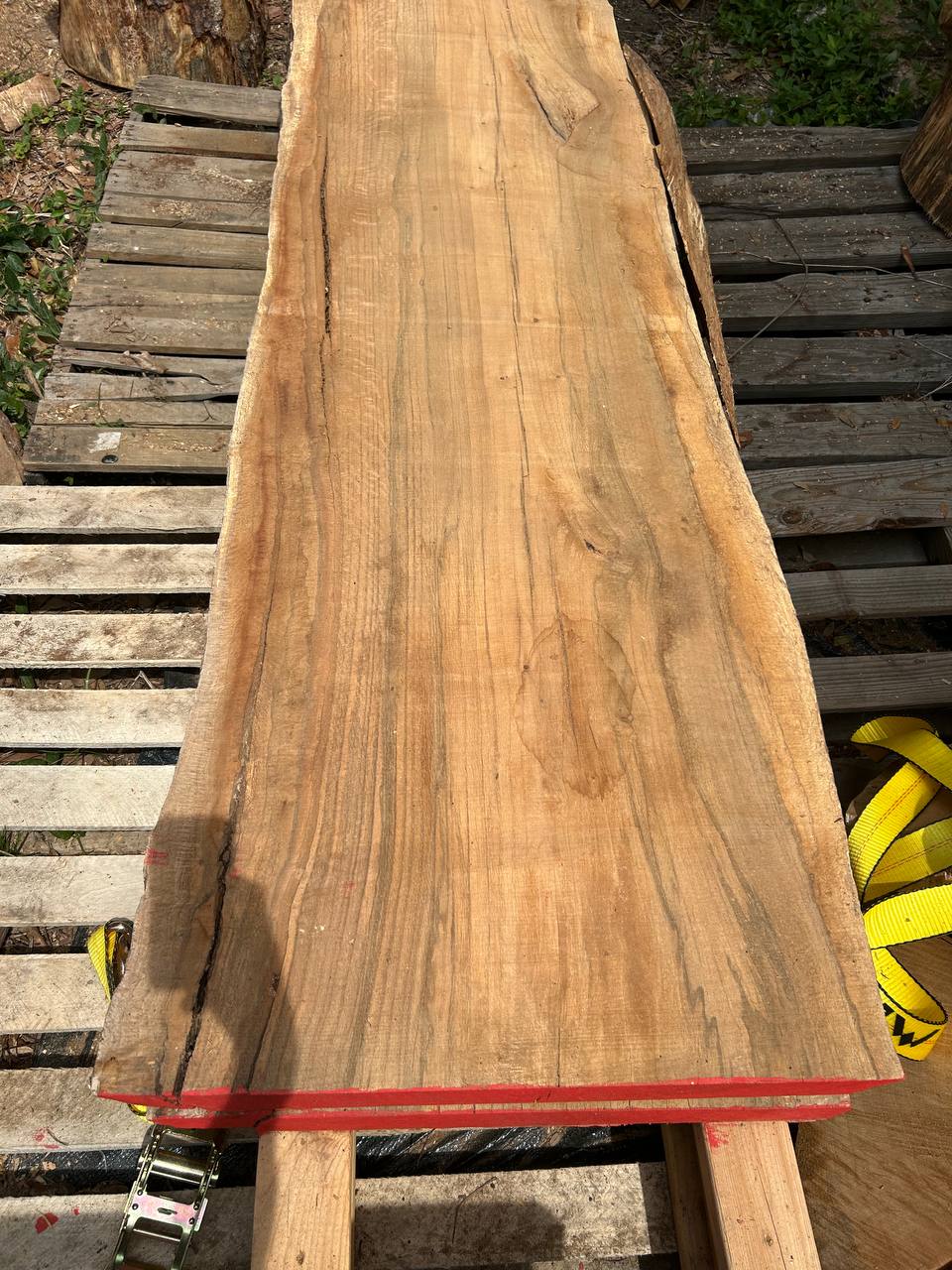 Water Oak Wood Slab WS003 - Image 5