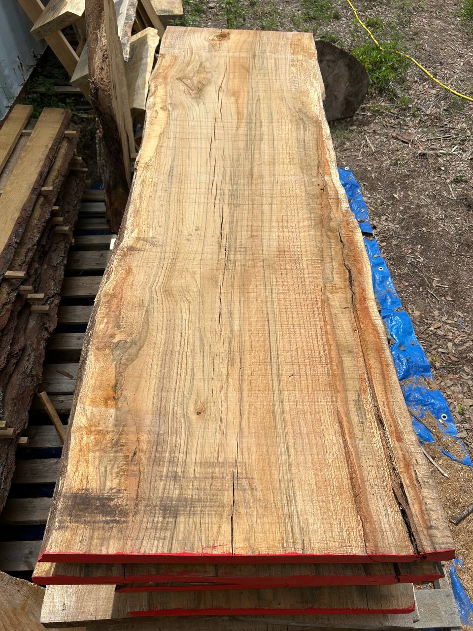 Water Oak Wood Slab WS003 - Image 6