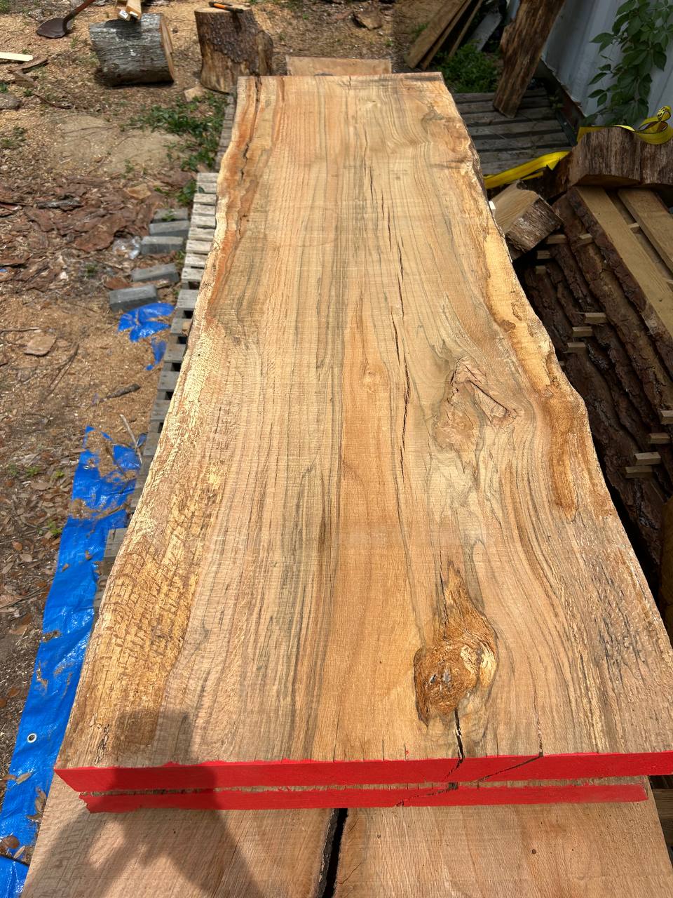 Water Oak Wood Slab WS003 - Image 7