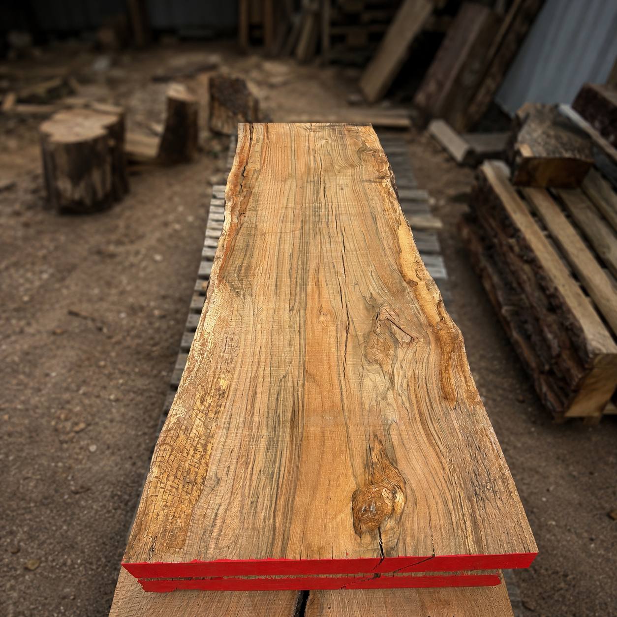 Water oak live edge slab WS003 with thick rustic grain texture and natural live edges — solid hardwood slab for custom furniture and woodworking projects