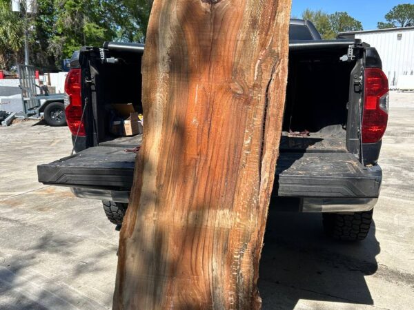 wood slab water oak WS003
