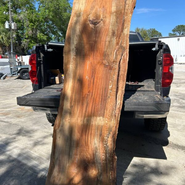 wood slab water oak WS003