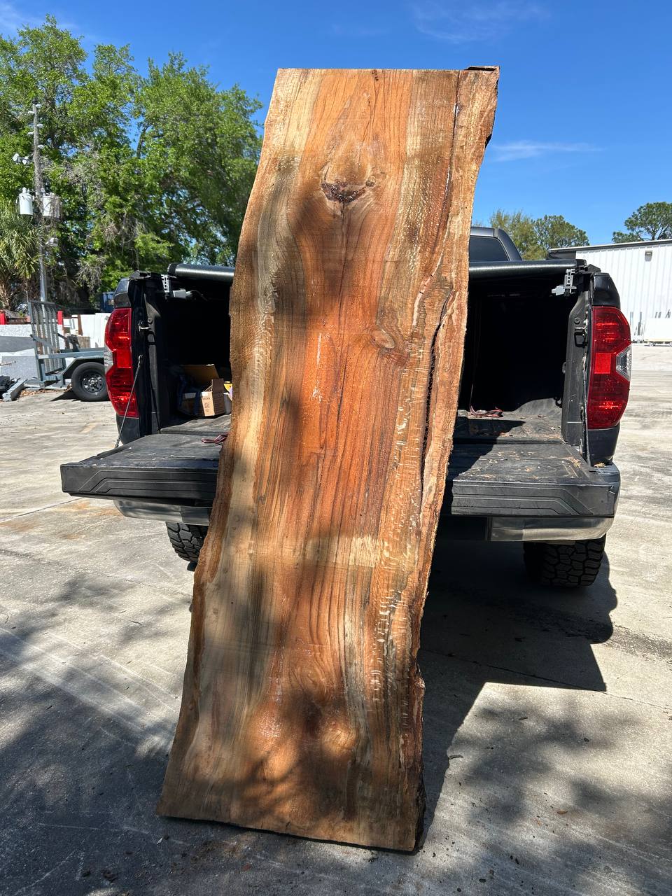 wood slab water oak WS003