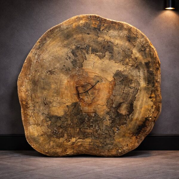 Hickory round wood slab with visible growth rings, natural variation and organic shape — 38.5 × 33 × 2 in coffee table slab