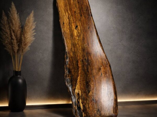 Water oak live edge slab LES005 with natural grain and narrow organic shape, solid wood slab for console or custom furniture projects
