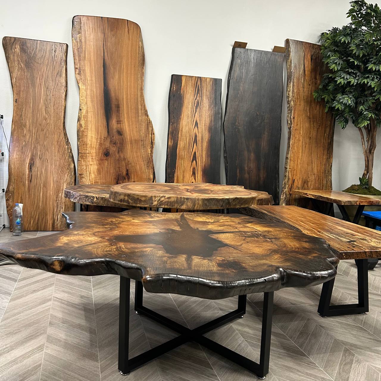 Water Oak Round Wood Slab RWS001-0156 - Image 4