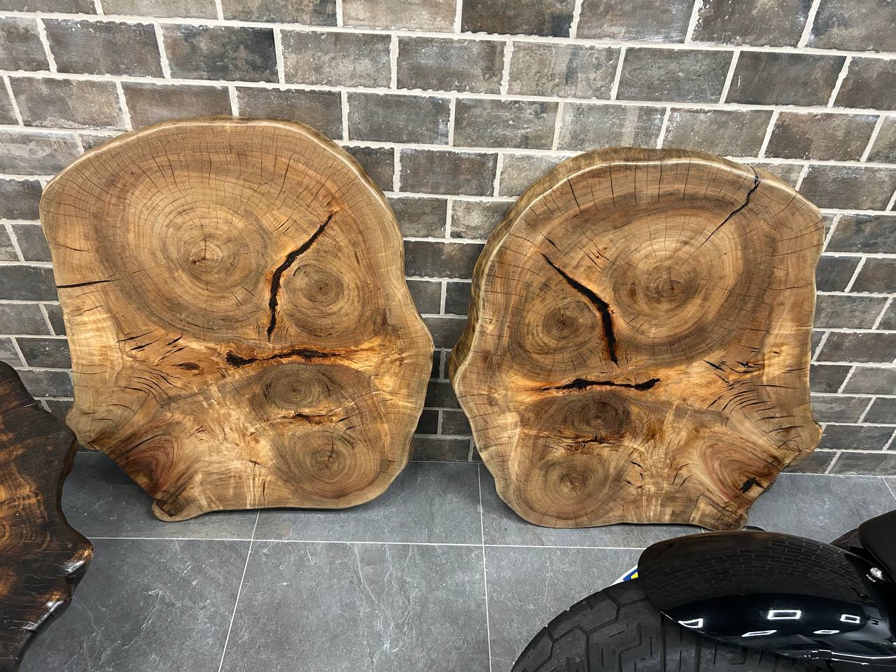 Camphor Round Wood Slab RWS003-6085 (Profile A) - Image 2