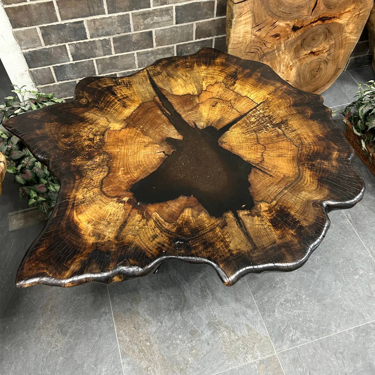 Water Oak Round Wood Slab RWS001-0156 - Image 5