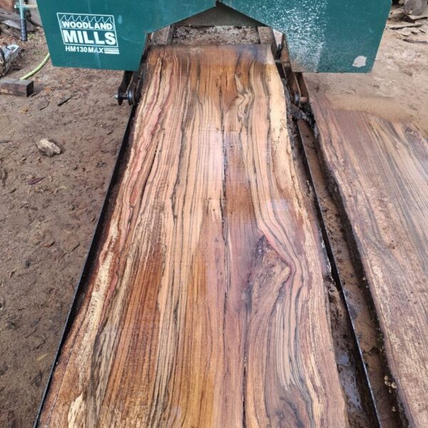 Water oak live edge slab WS002, large raw hardwood slab 96x30 inches with natural edges for custom table