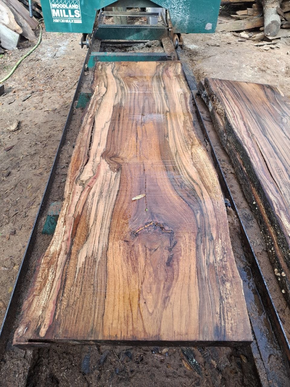 Water oak thick live edge slab WS003, 3 inch solid hardwood slab 8 ft long for dining table, raw wood drying stage