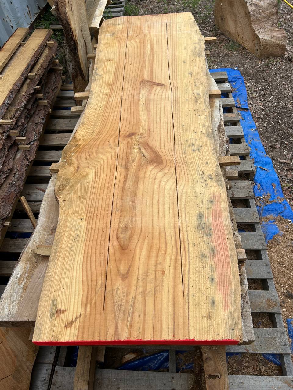 Pine Live Edge Slab WS007 - Image 2