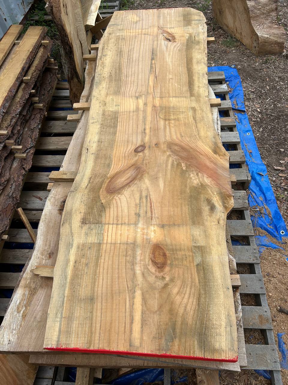 Pine Live Edge Slab WS007 - Image 3