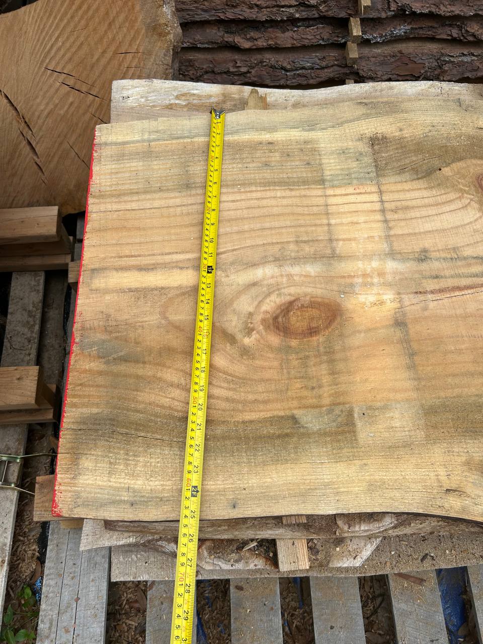 Pine Live Edge Slab WS007 - Image 5