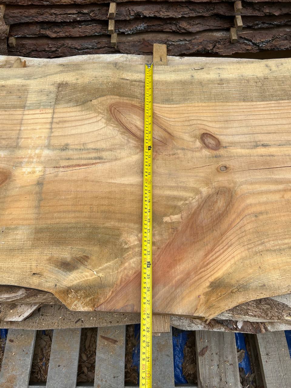 Pine Live Edge Slab WS007 - Image 6