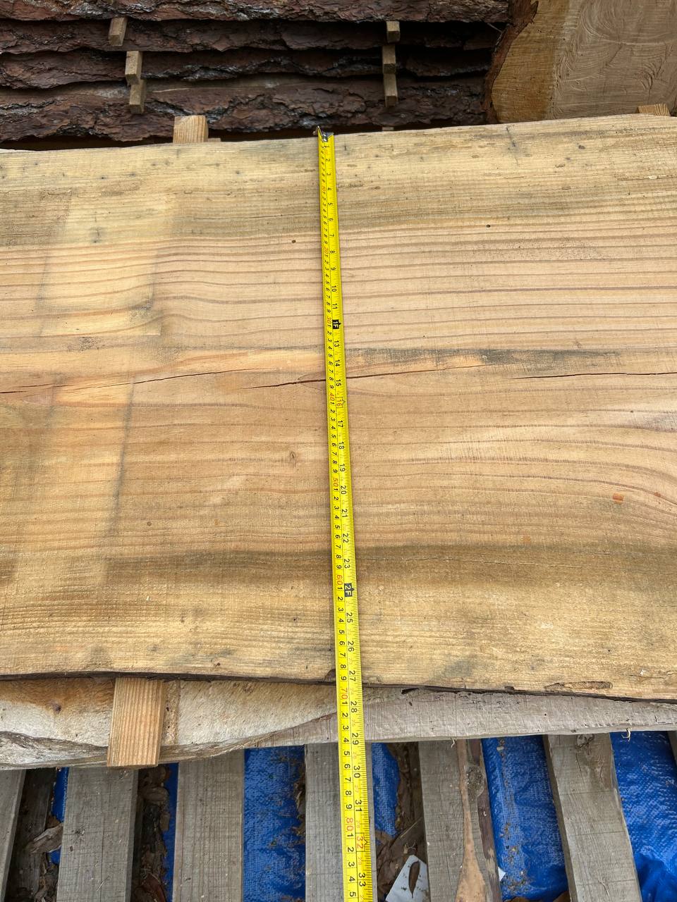 Pine Live Edge Slab WS007 - Image 7