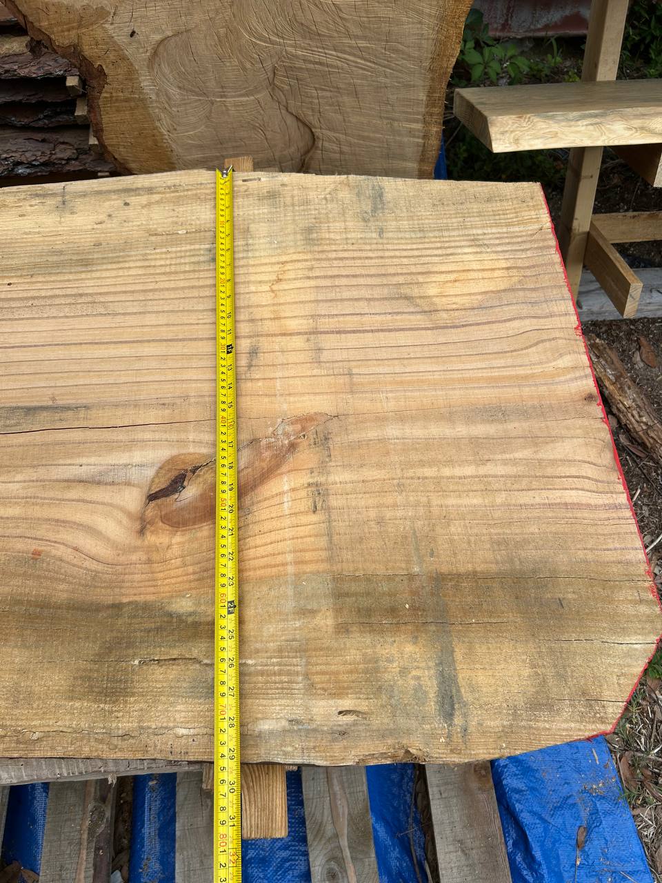 Pine Live Edge Slab WS007 - Image 8