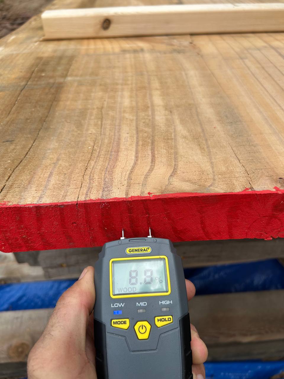 Pine Live Edge Slab WS007 - Image 11
