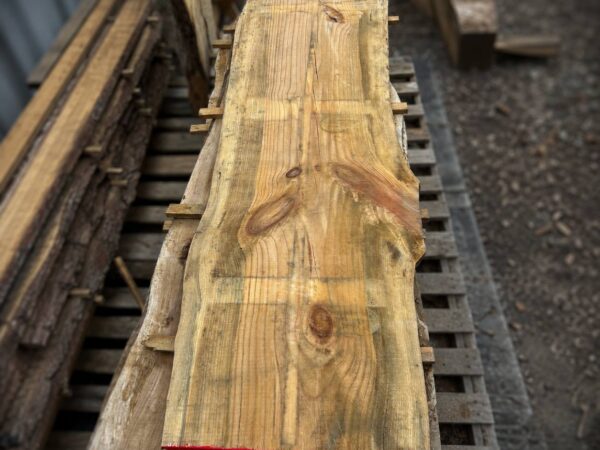 Air-dried pine live edge slab with natural grain, knots, and relief kerf cuts — rustic solid wood board for custom furniture and woodworking projects