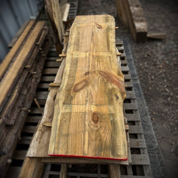 Air-dried pine live edge slab with natural grain, knots, and relief kerf cuts — rustic solid wood board for custom furniture and woodworking projects
