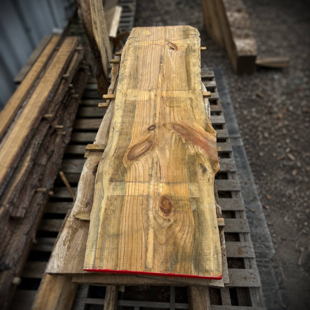 Air-dried pine live edge slab with natural grain, knots, and relief kerf cuts — rustic solid wood board for custom furniture and woodworking projects