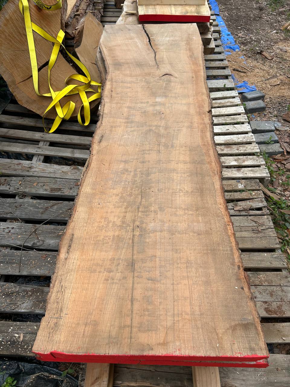 Live Oak Wood Slab ws008 - Image 2