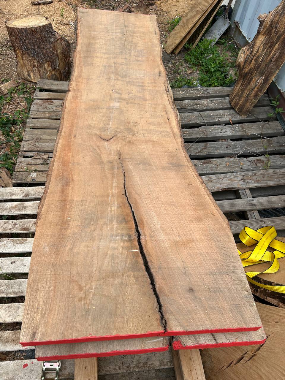 Live Oak Wood Slab ws008 - Image 6