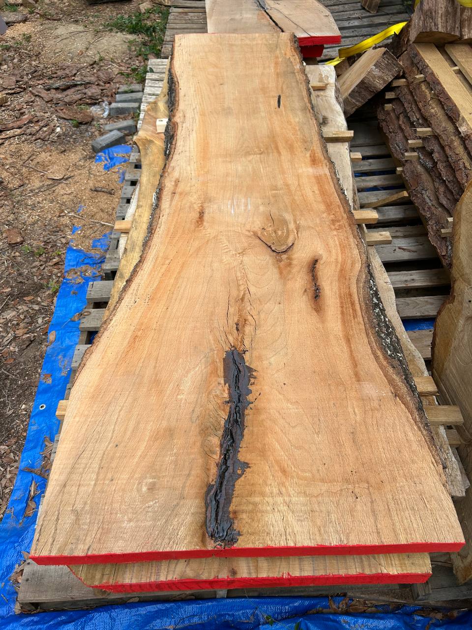 Live Oak Wood Slab ws008 - Image 8