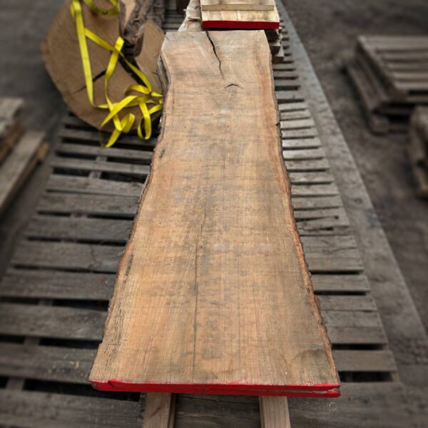 Air-dried live edge oak slab with natural grain movement and rustic character — solid wood slab for custom furniture and woodworking projects