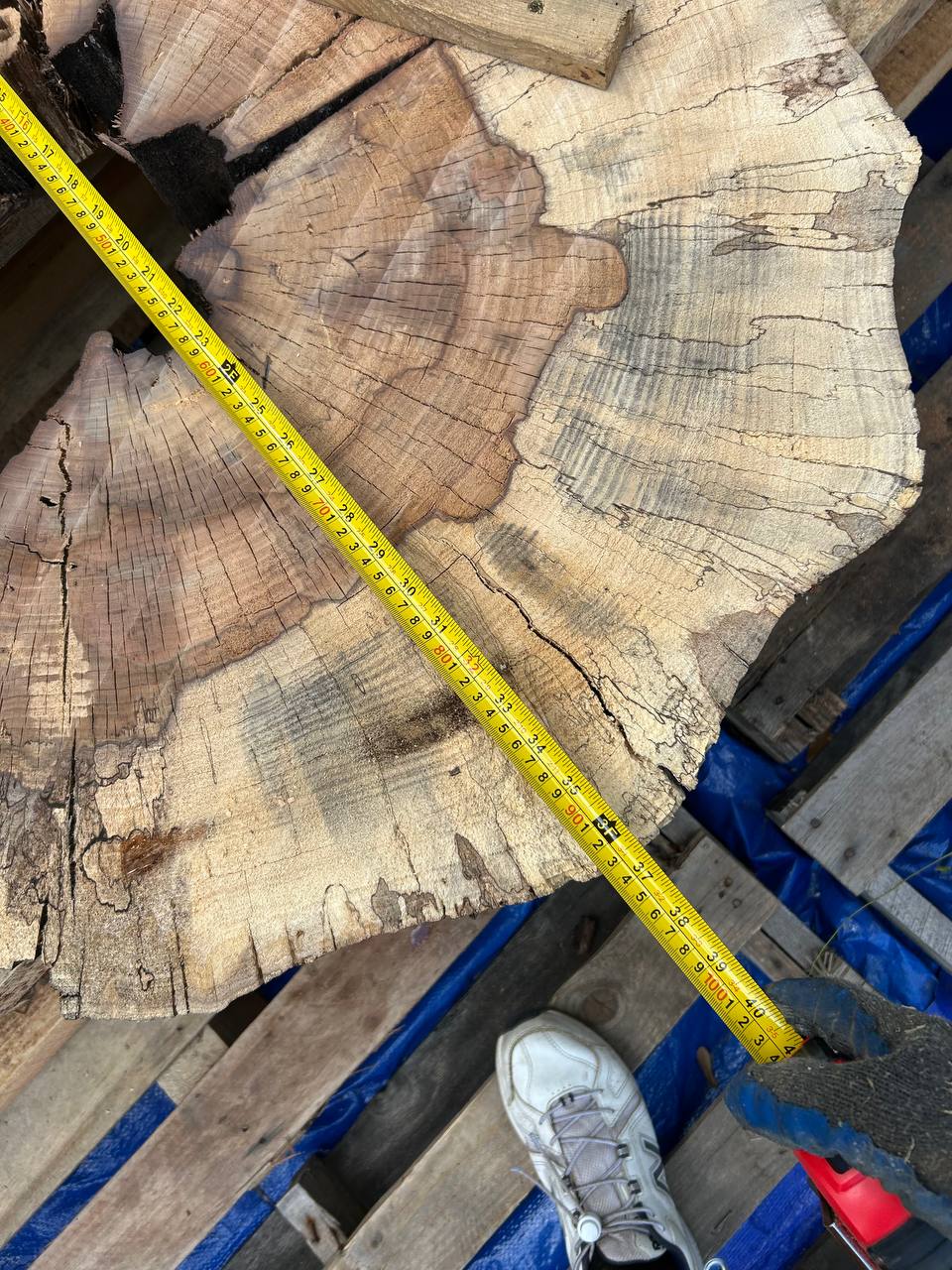 Water Oak Round Wood Slab RWS0012 - Image 3