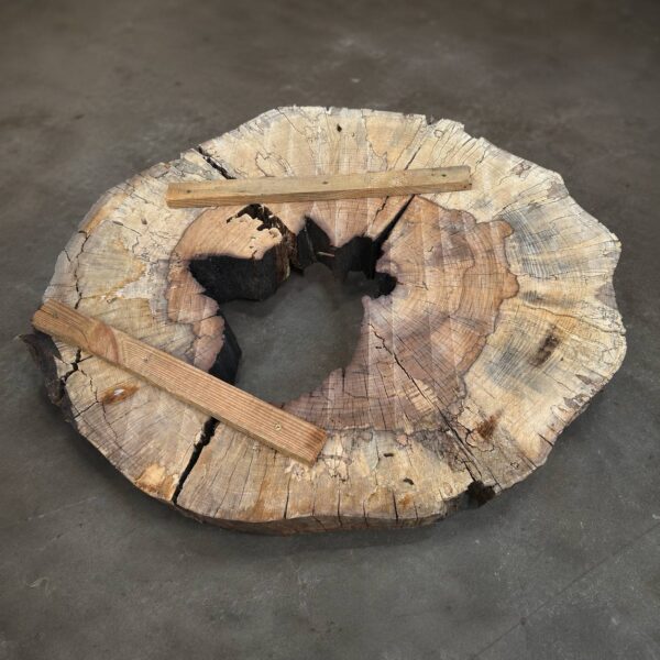 Water Oak Round Wood Slab RWS0012