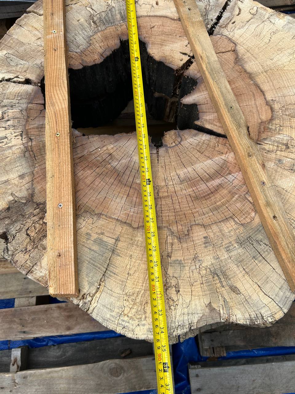 Water Oak Round Wood Slab RWS0013 - Image 3