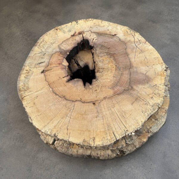 Round Water Oak coffee table top 30 inch diameter 3.125 inch thick solid hardwood slab handcrafted in Florida