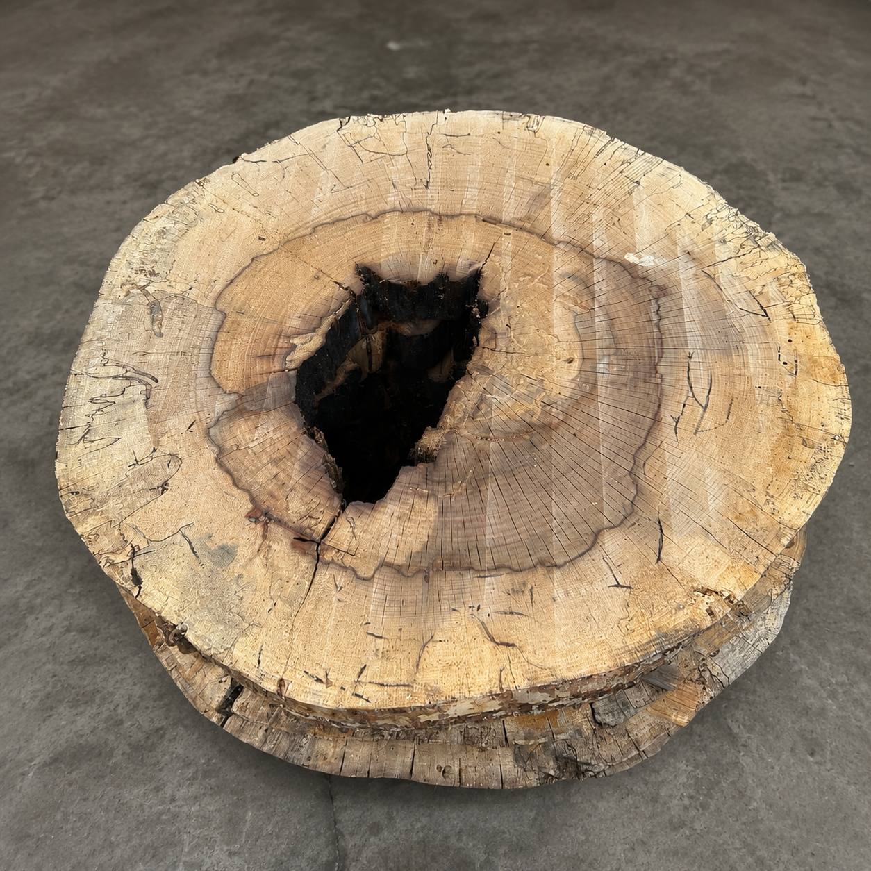 Water Oak Round Wood Slab RWS0016