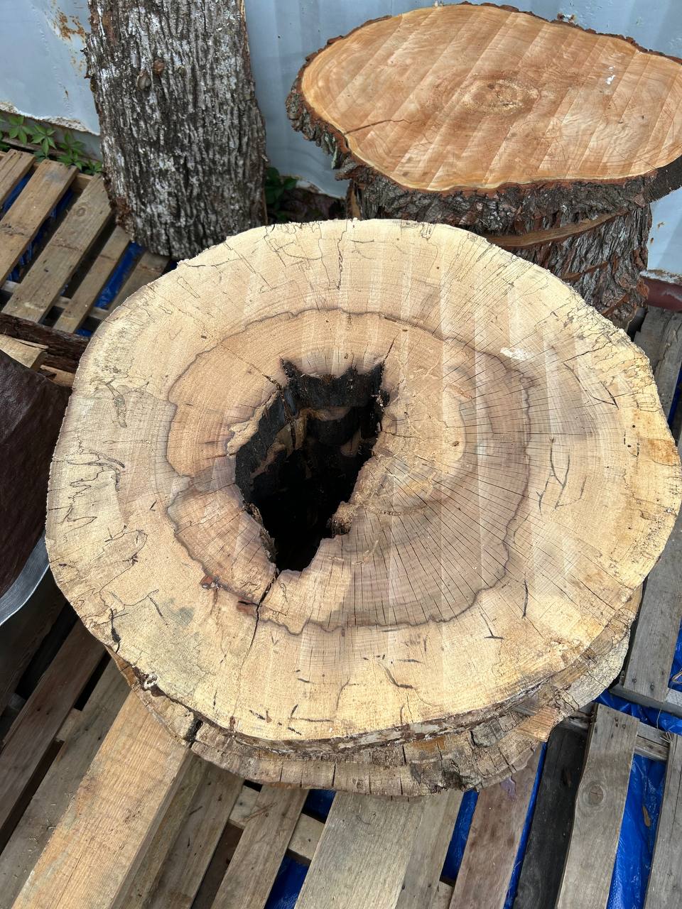 Water Oak Round Wood Slab RWS0016 - Image 2