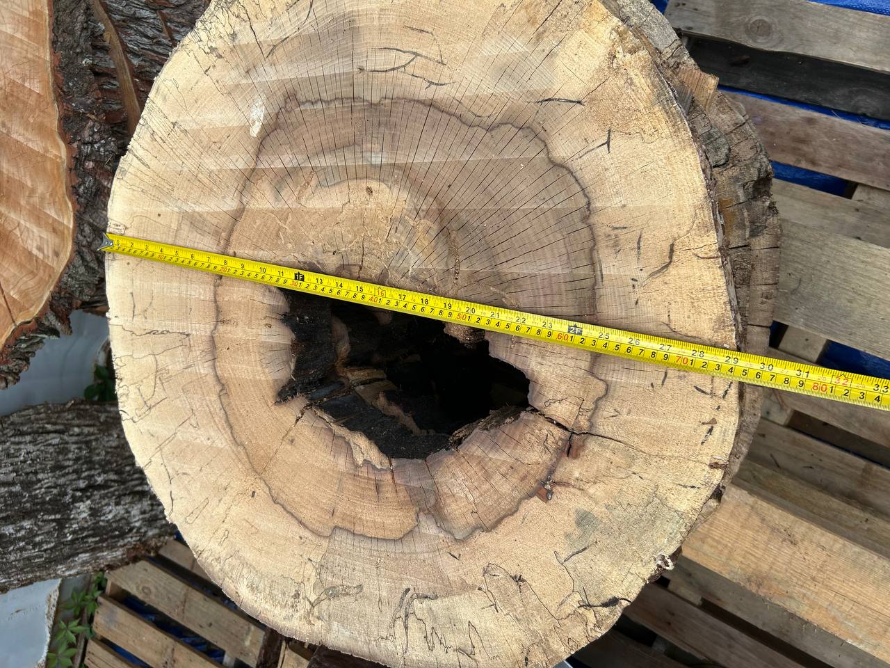 Water Oak Round Wood Slab RWS0016 - Image 3