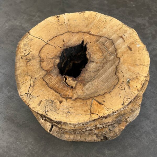 Round Water Oak coffee table top 29 inch diameter 3 inch thick solid hardwood slab handcrafted in Florida
