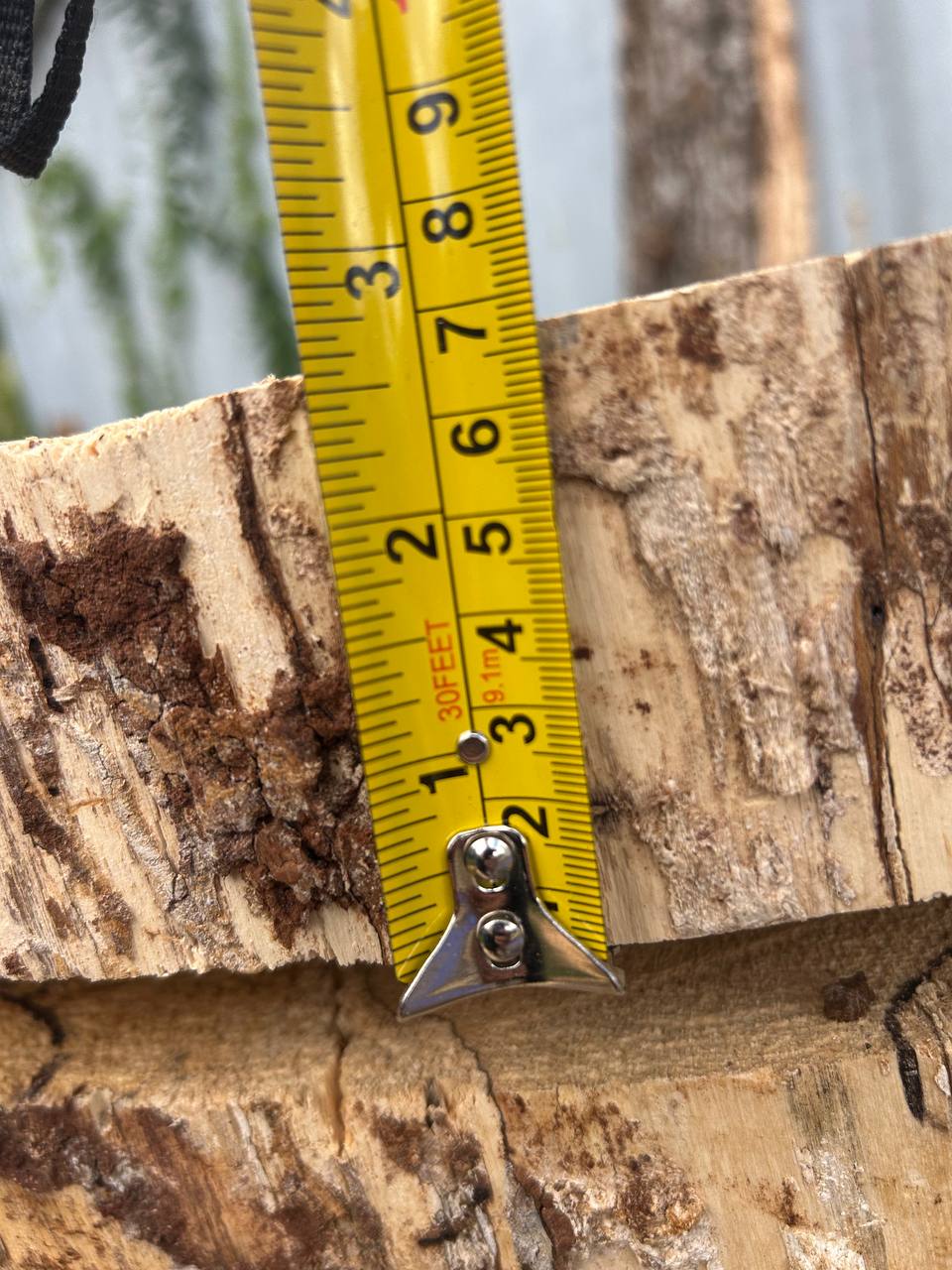 Water Oak Round Wood Slab RWS0018 - Image 5