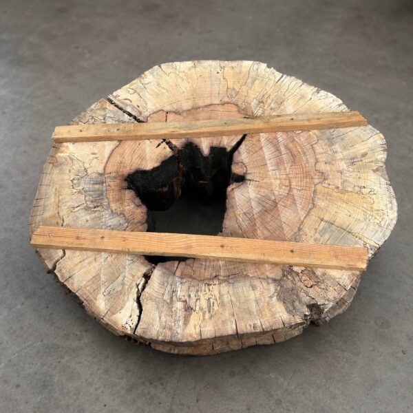 Water Oak Round Wood Slab RWS0013