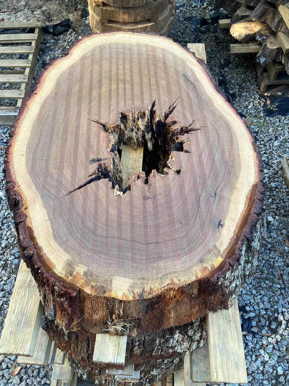 Live Oak Coffee Table Slabs - Image 2