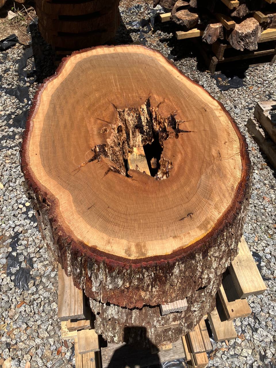 Live Oak Coffee Table Slabs - Image 4