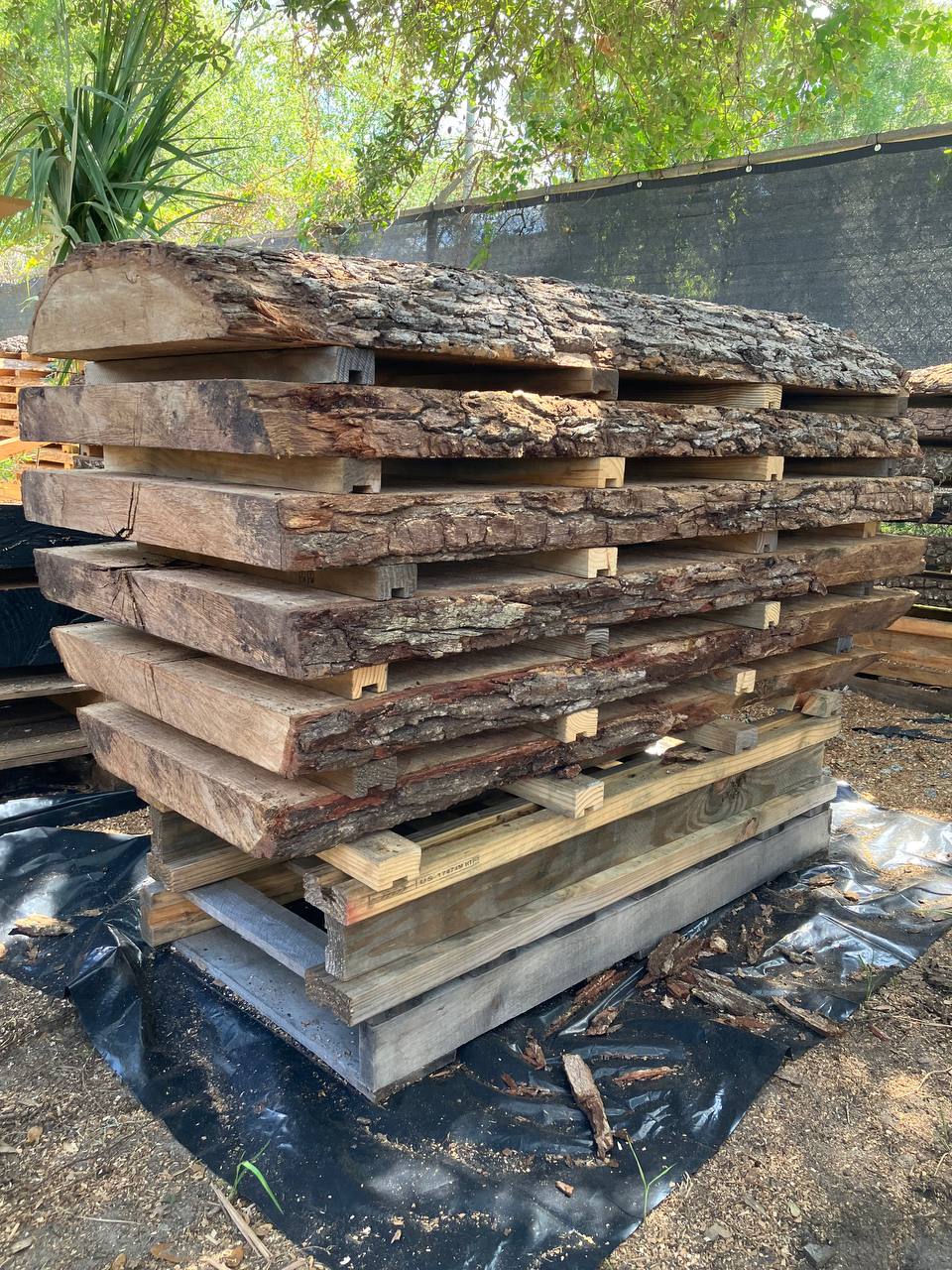 live oak live edge slabs