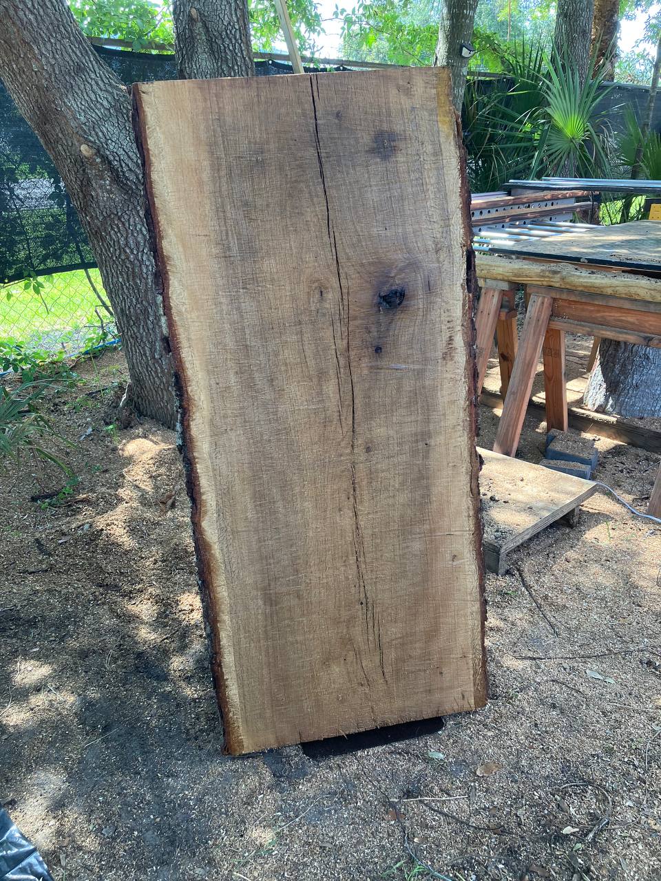 Live Oak Live Edge Slabs - Image 2