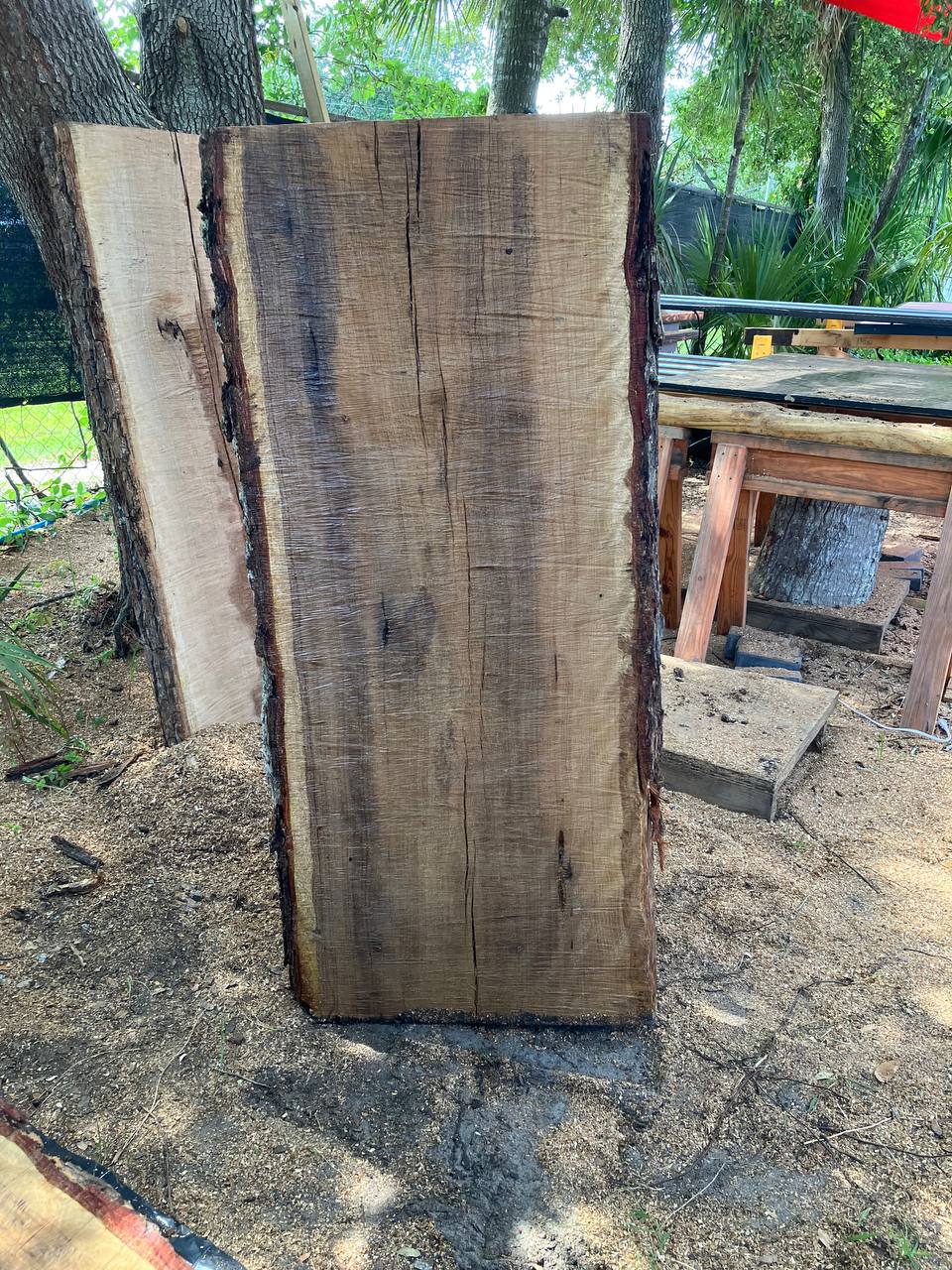 Live Oak Live Edge Slabs - Image 3